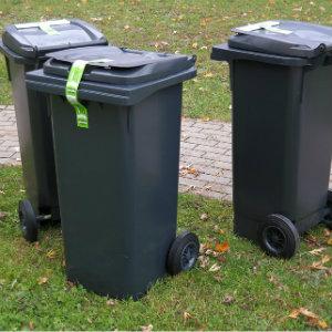3 garbage cans front lawn