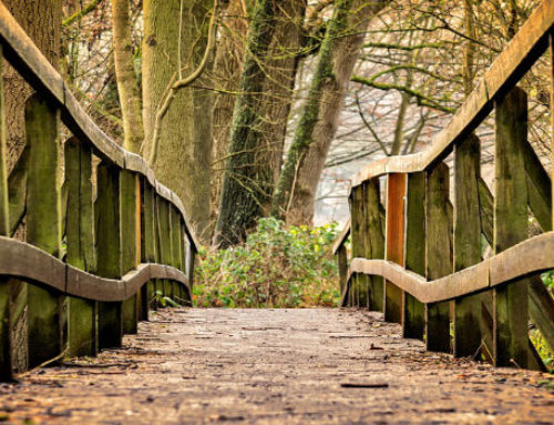 Our Montgomery County Personal Injury Lawyers Explore Lorimer Park