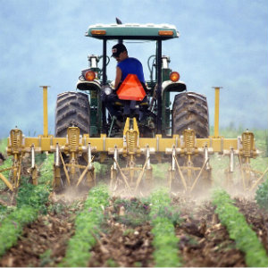 farmer tilling in tractor