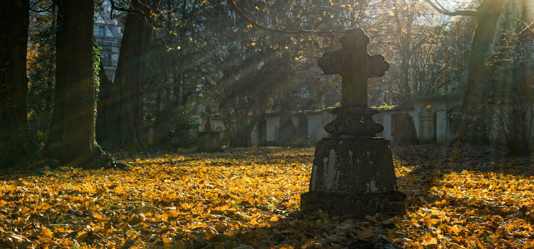 gravestone and autumn leaves