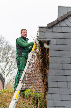 man cleaning gutter on ladder
