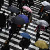 pedestrians crossing the street